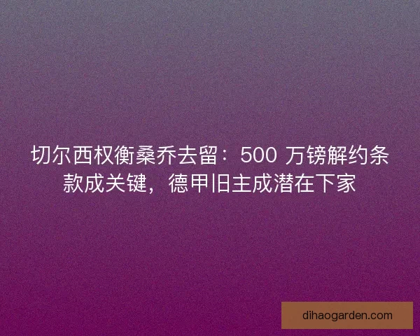 切尔西权衡桑乔去留：500 万镑解约条款成关键，德甲旧主成潜在下家