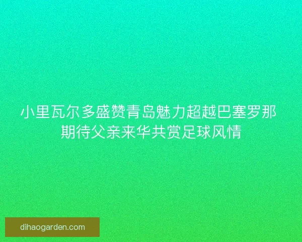 小里瓦尔多盛赞青岛魅力超越巴塞罗那 期待父亲来华共赏足球风情