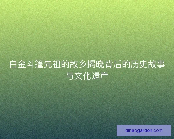 白金斗篷先祖的故乡揭晓背后的历史故事与文化遗产