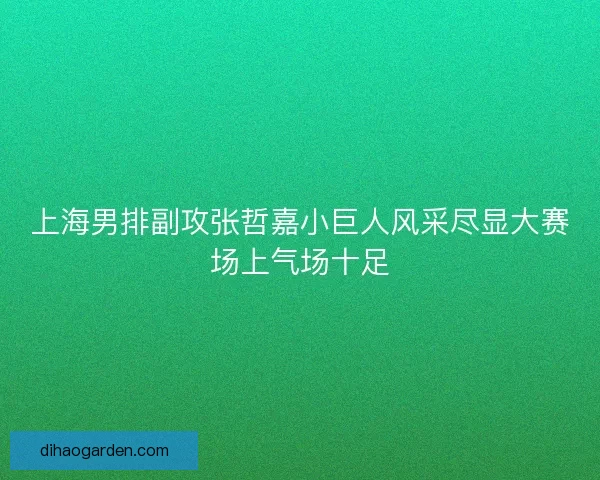 上海男排副攻张哲嘉小巨人风采尽显大赛场上气场十足 上海男排副攻张哲嘉小巨人风采尽显大赛场上气场十足