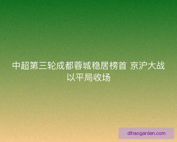 中超第三轮成都蓉城稳居榜首 京沪大战以平局收场