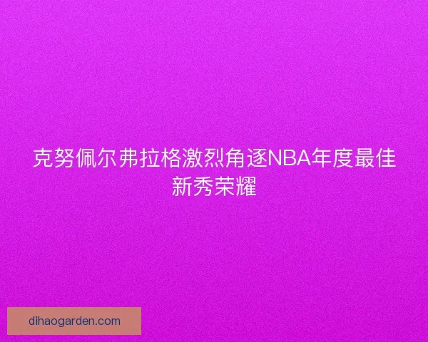 克努佩尔弗拉格激烈角逐NBA年度最佳新秀荣耀 克努佩尔弗拉格激烈角逐NBA年度最佳新秀荣耀