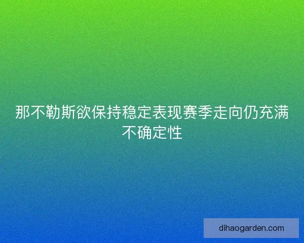 那不勒斯欲保持稳定表现赛季走向仍充满不确定性