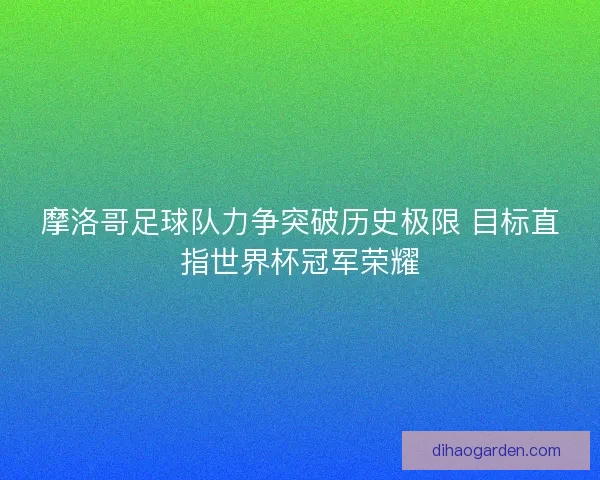 摩洛哥足球队力争突破历史极限 目标直指世界杯冠军荣耀
