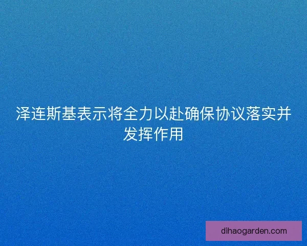 泽连斯基表示将全力以赴确保协议落实并发挥作用 泽连斯基表示将全力以赴确保协议落实并发挥作用