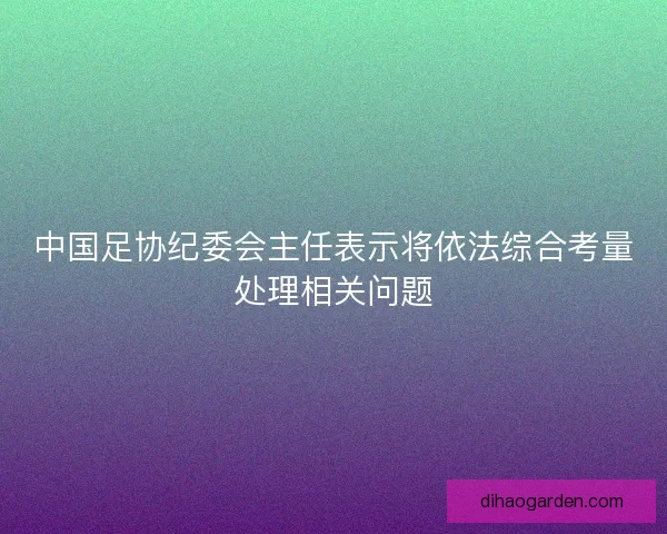 中国足协纪委会主任表示将依法综合考量处理相关问题