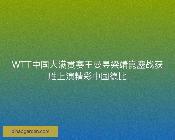 WTT中国大满贯赛王曼昱梁靖崑鏖战获胜上演精彩中国德比 WTT中国大满贯赛王曼昱梁靖崑鏖战获胜上演精彩中国德比