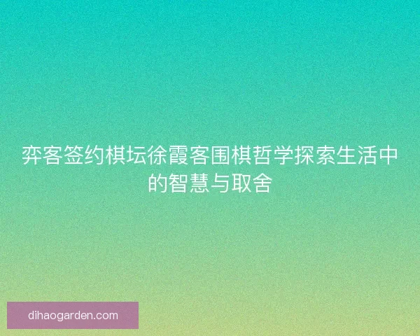 弈客签约棋坛徐霞客围棋哲学探索生活中的智慧与取舍 弈客签约棋坛徐霞客围棋哲学探索生活中的智慧与取舍